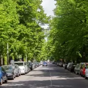 Autotrader's Urgent Warning: The One Car Feature UK Drivers Should Never Pay For