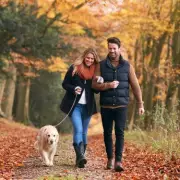 Autumn's Golden Glow: 5 Breathtaking UK Walks With Spectacular Pub Stops