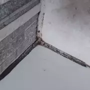 Banish Black Mould for Just 35p With This Simple Household Hack