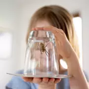 Banish Dust Mites Forever: The Simple Bedtime Switch That Transforms Your Sleep