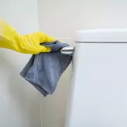 Banish Limescale for Good: The Natural Toilet Cleaning Hack That Costs Just 20p