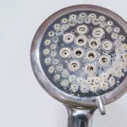 Banish Mould & Limescale From Your Shower Head With This Simple 2-Ingredient Solution