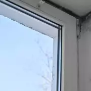 Banish Mould Forever: The £1 Natural Wonder Hiding in Your Kitchen Cupboard