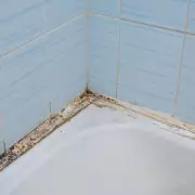 Banish Ugly Black Mould from Silicone Sealant Forever with This Simple 5-Minute Hack