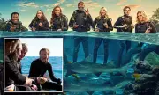 BBC Axes Celebrity Shark Show After Just One Series in Major Programming Shake-Up