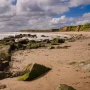 Beachcomber's Incredible Discovery: £70,000 Luxury Watch Found Washed Ashore on UK Coast