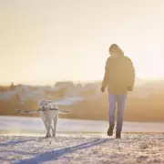 Beat the Chill: This Bestselling Heated Body Warmer Is Flying Off Shelves - And It's Under £40