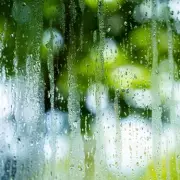 Beat Winter Condensation For Good: The Simple 10p Hack That Stops Mould in Its Tracks