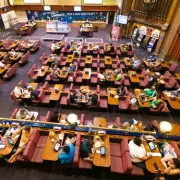 Bingo Brilliance: How Calling 'House!' Could Be Your Secret Weapon Against Dementia