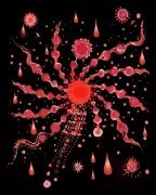 Blood Revolution: How Menstrual Testing is Transforming Women's Healthcare