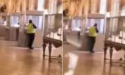 Bold Louvre Heist: High-Viz Thief Smashes Cabinet in Brazen Daylight Raid