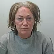 Brave Mother Foils Terrifying Baby Snatch Attempt in Broad Daylight