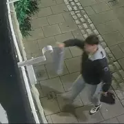 Brazen Vandal Blows Sarcastic Kisses After Smashing Historic London Memorial