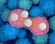 Breastfeeding's Hidden Superpower: Immune Cells That Guard Against Cancer Revealed