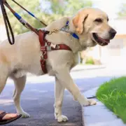 Bridezilla's Wedding Ban: No Kids Allowed - Not Even Her Own Bridesmaid's Child