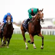 Calandagan Storms to Sensational Champion Stakes Victory at Ascot in 40-1 Shock