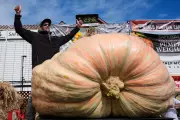 California Engineer Smashes World Record With Colossal 2700lb Pumpkin