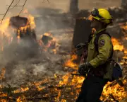 Carbon Offsets Exposed: Landmark Study Reveals Why They're Failing to Curb Global Heating