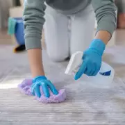 Carpet Stain SOS: Expert Hacks to Banish Red Wine, Coffee and Pet Accidents Forever