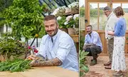 David Beckham's Cotswolds Transformation: From Suburban Chingford to Countryside Paradise