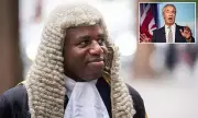 David Lammy's Dazzling Day: From Hitler Youth Jibe Backlash to Lord Chancellor Robes