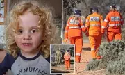Desperate Search for Missing Outback Traveller Gus Lamont Continues in South Australian Bushland