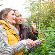 Diarmuid Gavin's Dream Gardens: A Special Look at His Most Spectacular Creations