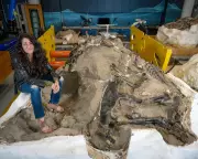 Dinosaur Wars Solved: 'Dueling Dinosaurs' Fossil Confirms Nanotyrannus Was Real Species