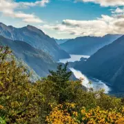 Discover Tristan da Cunha: Inside the World's Most Remote Inhabited Island Paradise