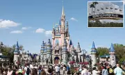 Disney's Magic Kingdom Loses Its Sparkle: Park Attendance Plummets Towards Historic Lows