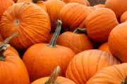 Don't Bin That Pumpkin! The Surprising Gut Health Benefits Hiding in Your Halloween Decorations