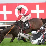 Down Royal Drama: Favourite Concedes Defeat After Shocking Final Fence Fall