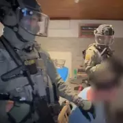 Dramatic Bodycam Footage Shows Moment Mafia Boss 'The Wolf' Is Captured In Romania