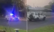 Dramatic Police Chase Through Kununurra: Shocking Dashcam Footage Shows Pickup Truck's Reckless Flight