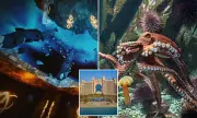 Dubai's Atlantis Hotel Unveils Breathtaking New Animal Sanctuary: A Closer Look at The Palm's Latest Luxury Attraction