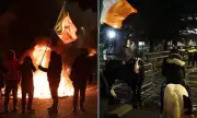 Dublin Erupts: Firebombs and Mounted Police Clash with Migrant Protesters in Night of Chaos