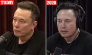Elon Musk's Drastic Weight Loss Sparks Serious Health Concerns Among Medical Experts