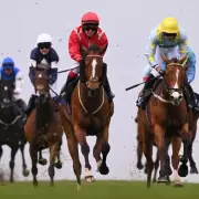 Emotional Triumph: Brighton Trainer's Family Legacy Lives On With Uncle Dick Victory