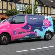 Energy Bill Shock: Octopus Warns of 20% Price Hike for Millions This Winter