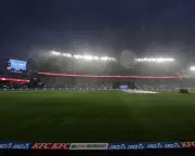 England's T20 Redemption: Salt & Brook Demolish New Zealand in Series Decider