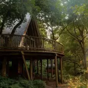 Escape to a Magical Scottish Treehouse With Its Own Private Bar and Hot Tub
