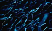 Father Time's Genetic Toll: How Older Sperm Increases Disease Risk in Children