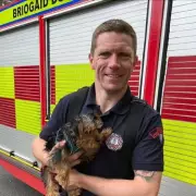 Firefighter Jailed for Brutal Rape After Night Out in Westminster