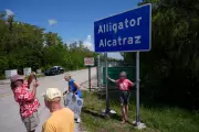 Florida's Bizarre Alligator Smuggling Plot: The Shocking Truth Behind the Alcatraz Escape Plan