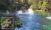Flying Monkeys Take Over Florida Skies in Bizarre Silver Springs Park Phenomenon