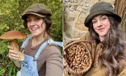Foraging Frenzy: How Social Media Influencers Are Poisoning Britain's Countryside