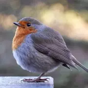 Forget Expensive Air Purifiers: This One Simple Garden Addition Can Slash Your Energy Bills and Boost Your Health