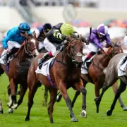 Friday's Racing Fortunes: The Newsboy's Expert Picks for Today's Top Tracks