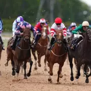 Friday's Racing Fortunes: Your Expert Guide to Today's Top Horse Racing Tips