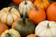From Bin to Brilliant: Transform Your Halloween Pumpkin Waste Into Nutritious Meals